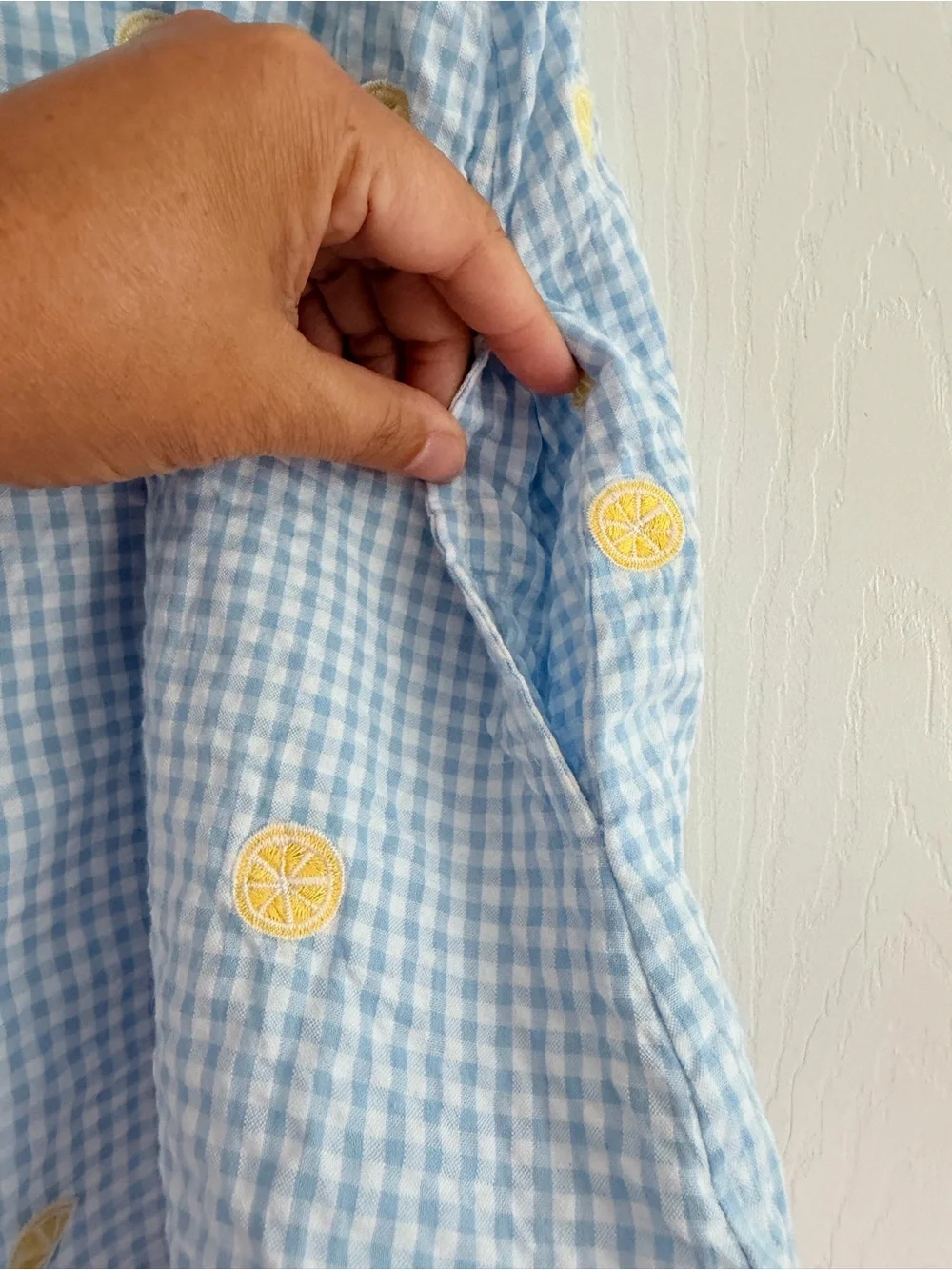 CPC Childrenswear Girls 4T Blue Gingham Lemon Embroidered Peter Pan Collar Dress